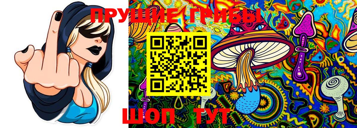 Мелеуз  Галлюциногенные грибы мицелий  Вход с VPN  Псилоцибиновые грибы GOLDEN TEACHER 