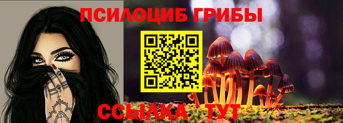 Псилоцибиновые грибы прущие грибы Мелеуз