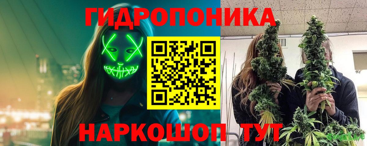 Бошки Шишки конопля Мелеуз